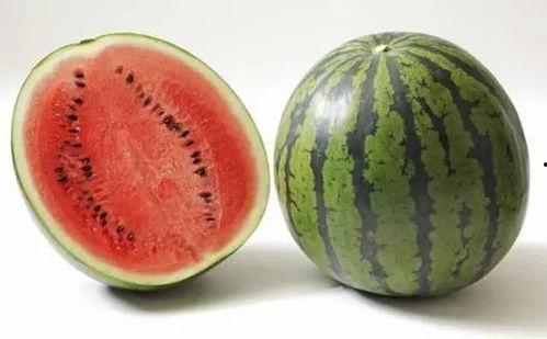 砀山最新吃瓜爆料视频曝光,视频曝光惊人内幕 第3张 砀山最新吃瓜爆料视频曝光,视频曝光惊人内幕 第3张