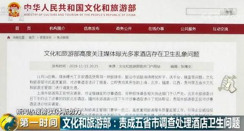 爆料奇特视频下载,带你走进未知世界 第1张 爆料奇特视频下载,带你走进未知世界 第1张